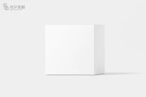 纸盒盒子智能包装贴图文创样机模板PSD分层设计素材【040】