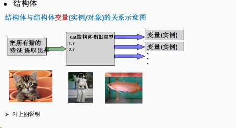 Go面向对象编程快速入门(视频教程)