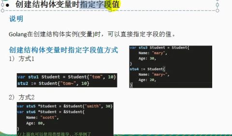 创建struct实例指定字段值(golang视频教程)