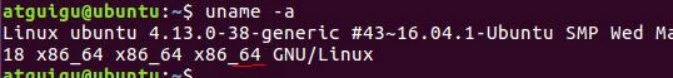 Linux 下搭建 Go 开发环境-安装和配置 SDK